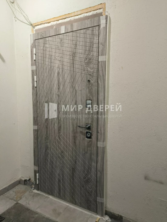 Фото двери № 483